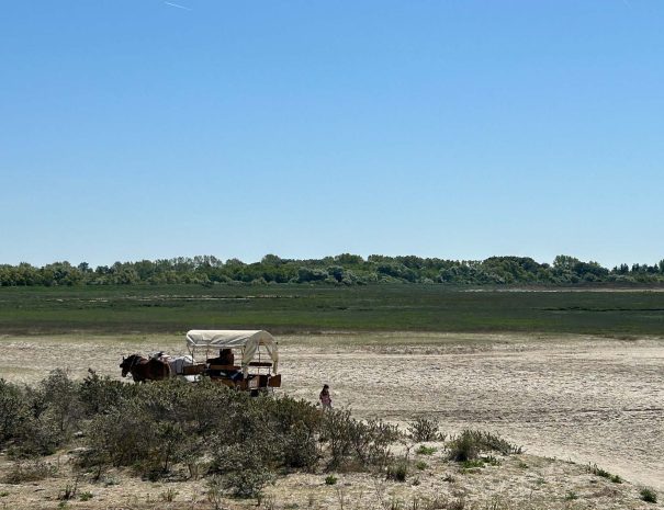 auberge-gros-tilleu-environnement3